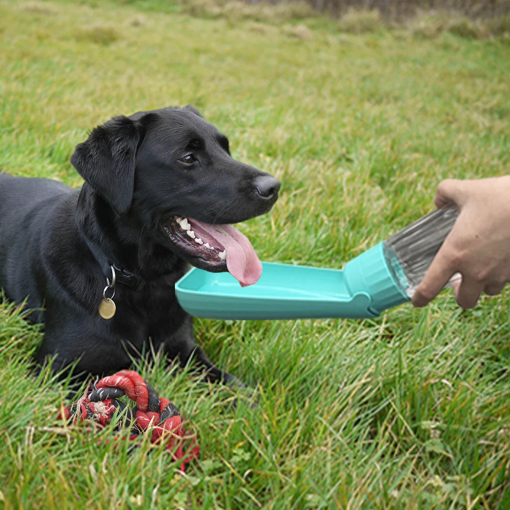 Water bottle for dogs cats